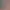 Reel image 0