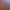 Reel image 4