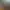 Reel image 0