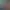 Reel image 1