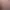 Reel image 4